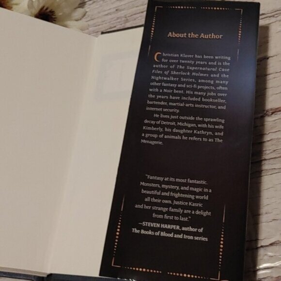 3/$15 YA Shadows over London by Christian Placer young adult teen book - Picture 6 of 7